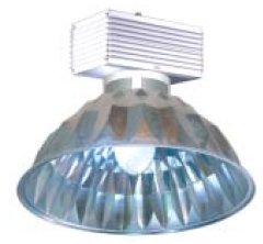 dlhb-5050